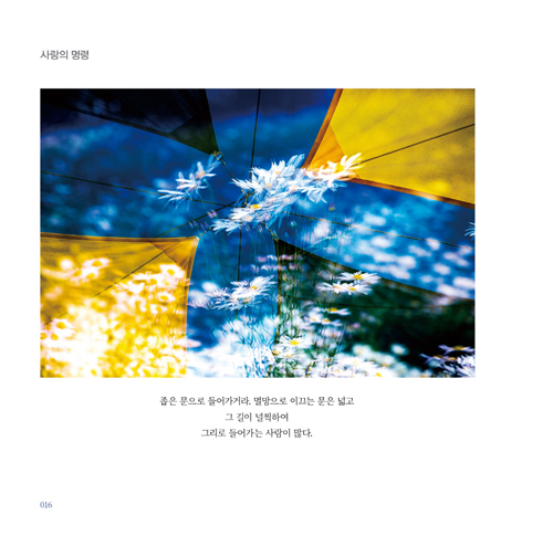 그 나라 (가슴 따뜻한 당신과 나누는 단비의 사진 이야기)