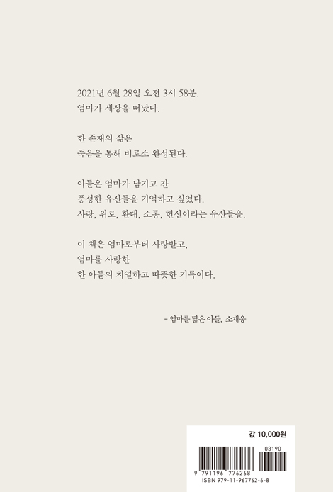 나의 아름다운 엄마, 김영희 (서른아홉 아들이 써내려간 예순여섯 엄마와의 추억)
