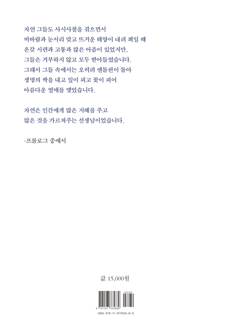 목마른 영혼의 쉴만한 물가 (백년의 잠을 깨우는 새벽 종소리)