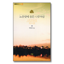 노을빛에 물든 나무처럼