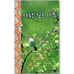 사랑 깊은 나무 - 이미자 시집