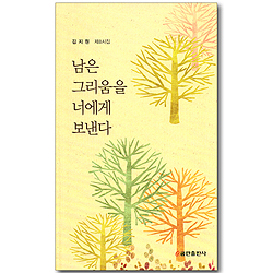 남은 그리움을 너에게 보낸다 (김지원 제8시집)