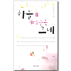 하늘에 매어놓은 그네 (송영란 시집)