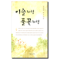 이슬처럼 풀꽃처럼 (정경혜 제3시집)