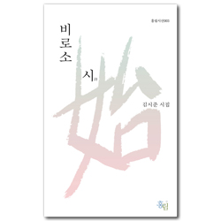비로소 시 (홍림시선 003)