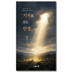 기적을 보는 안경