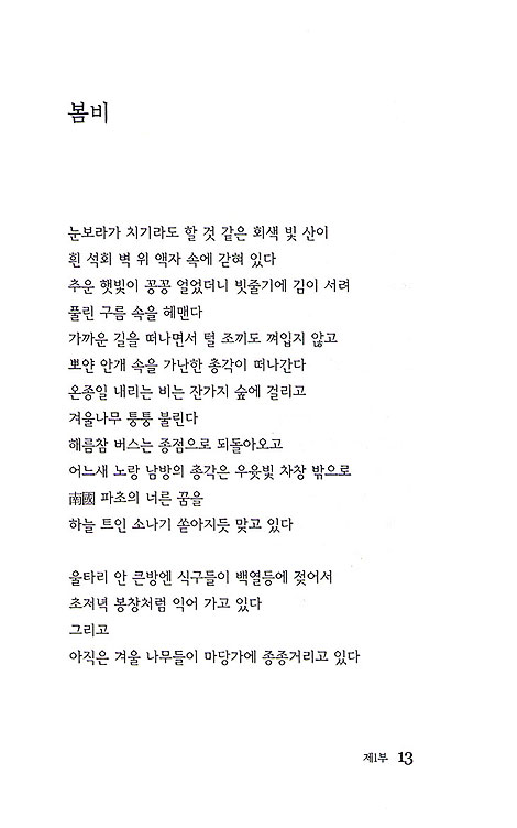 사막에서 온 멸치