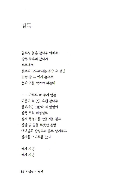 사막에서 온 멸치