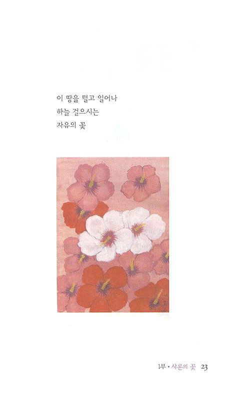샤론의 꽃