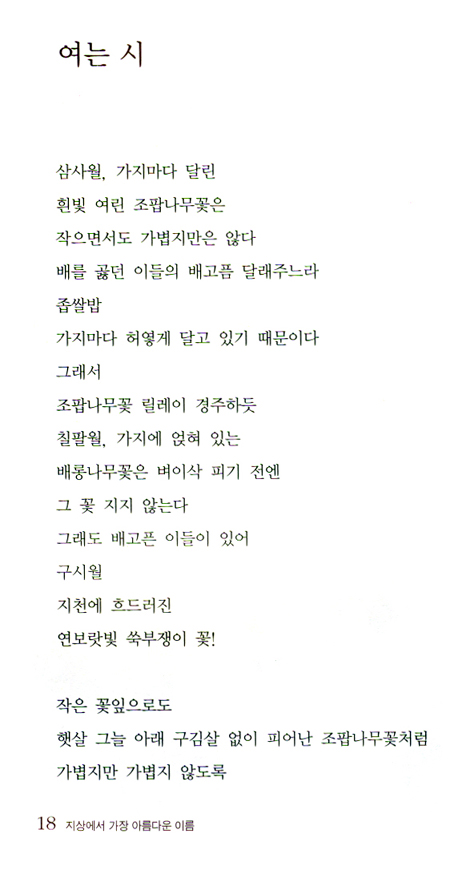 지상에서 가장 아름다운 이름 (차정미 시집/한국인보다 한국을 더 사랑한 이들)