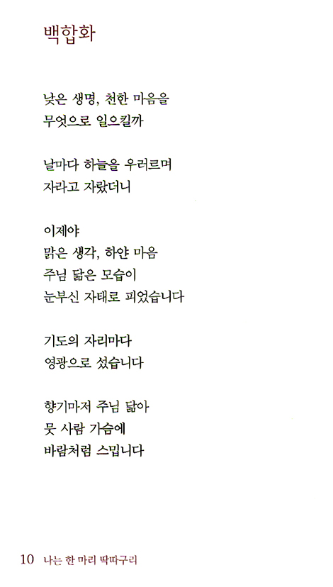 나는 한 마리 딱따구리
