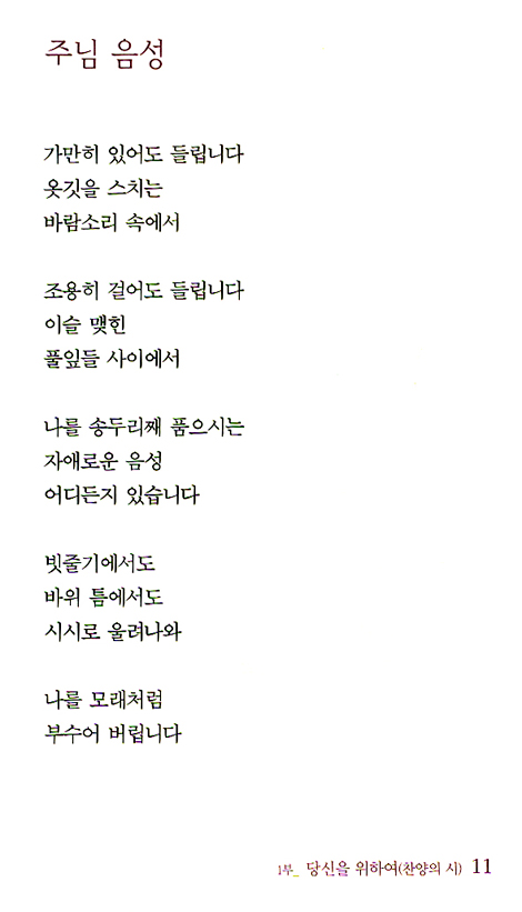 나는 한 마리 딱따구리