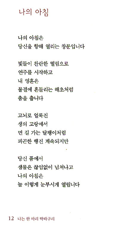 나는 한 마리 딱따구리