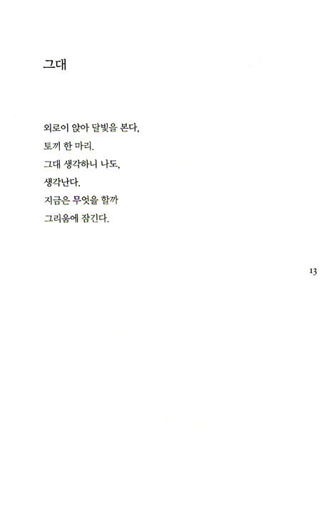 가슴에 간직한 새 - 김용진 시집