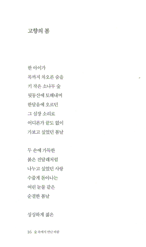 숲 속에서 만난 바람 (최천호 시집)
