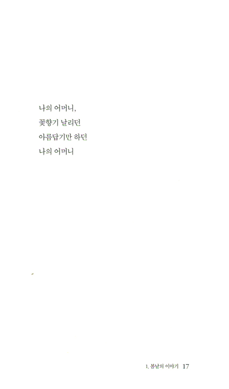 숲 속에서 만난 바람 (최천호 시집)