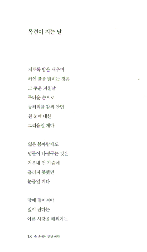 숲 속에서 만난 바람 (최천호 시집)
