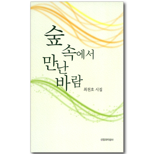 숲 속에서 만난 바람 (최천호 시집)