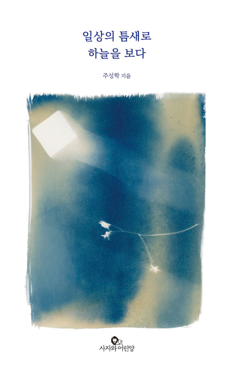 일상의 틈새로 하늘을 보다