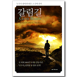 갈림길 - 누구나 생애 한 번은 그 길에 선다 (윌리엄 폴 영 장편소설)