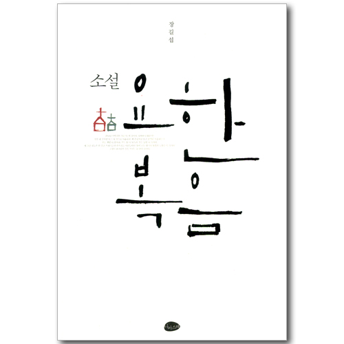 소설 요한복음 (장길섭 소설)
