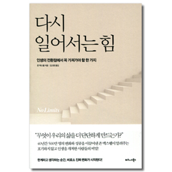 다시 일어서는 힘 (인생의 전환점에서 꼭 가져가야 할 한 가지)