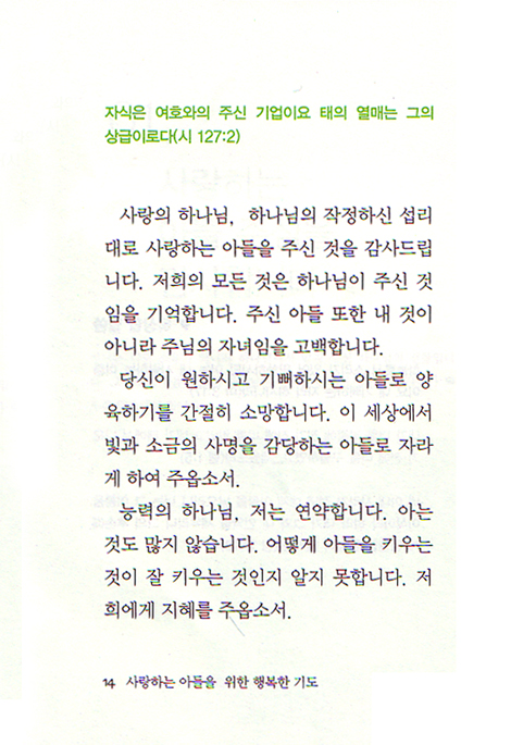 사랑하는 아들을 위한 행복한 기도 - 사랑하는 사람을 위한 행복한 기도 시리즈2