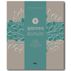 갈라디아서 (개역개정 신약성경 쓰기 8)