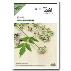 주삶 - 로마서 (개역개정+쉬운성경+ESV) - 권별 큐티