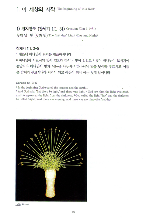 네가 어디 있느냐 - 나침반 꽃예술 테마 성경 (한영-Korean, English-판)