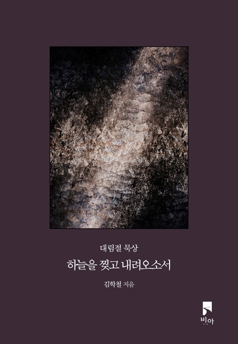 하늘을 찢고 내려오소서 (대림절 묵상집)