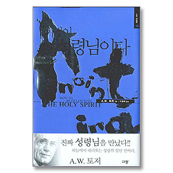 이것이 성령님이다 (A. W. 토저 마이티 시리즈 04-양장본)