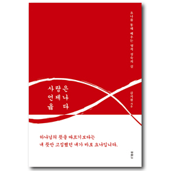사랑은 언제나 옳다 (요나를 통해 배우는 영적 성숙의 길)