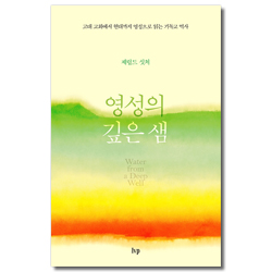 영성의 깊은 샘 (고대 교회에서 현대까지 영성으로 읽는 기독교 역사)