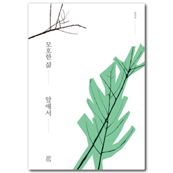 모호한 삶 앞에서