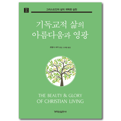 기독교적 삶의 아름다움과 영광 - 그리스도인의 삶의 개혁된 실천 (개혁된 실천 시리즈)