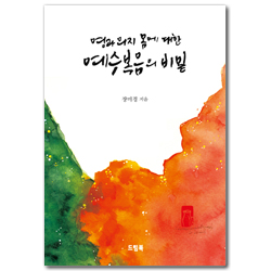 상품이미지