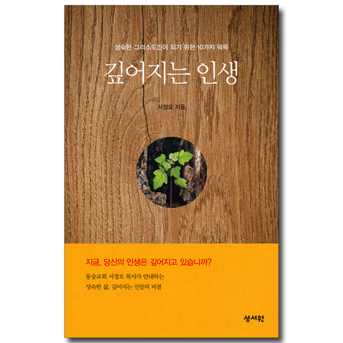 깊어지는 인생 (성숙한 그리스도인이 되기 위한 10가지 덕목)