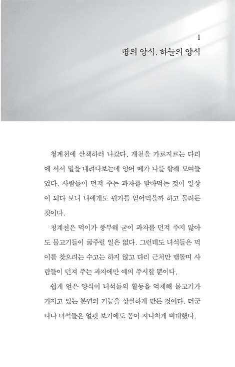 이런 하루 이런 은혜