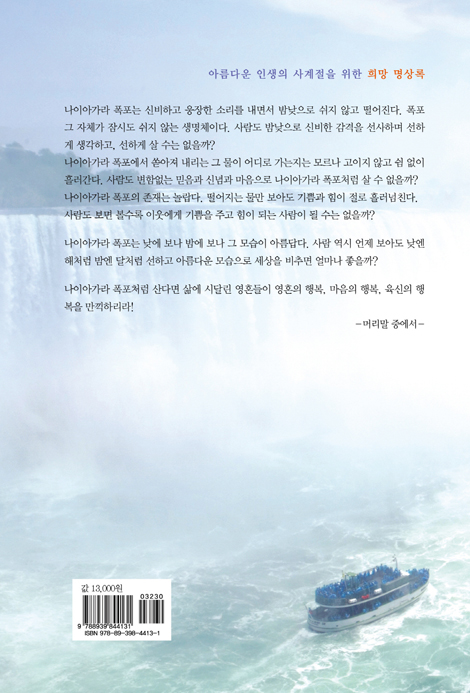 인생은 나이아가라 폭포처럼 (아름다운 인생의 사계절을 위한 희망 명상록)
