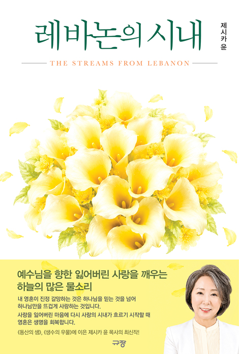 레바논의 시내