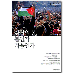 아랍의 봄, 봄인가 겨울인가 (2013 Vol.1)