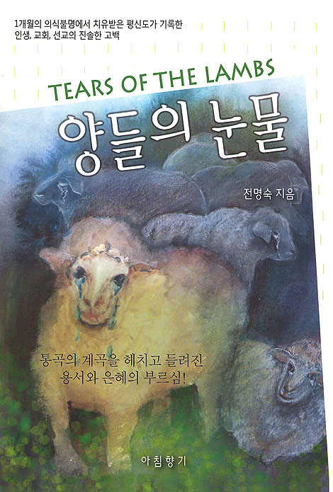 양들의 눈물