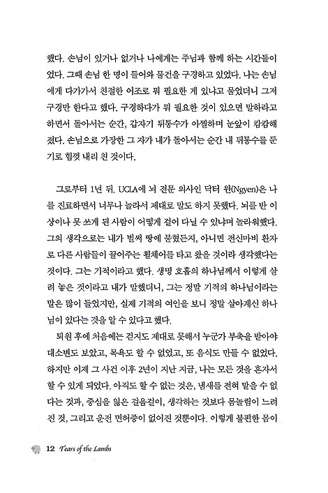 양들의 눈물