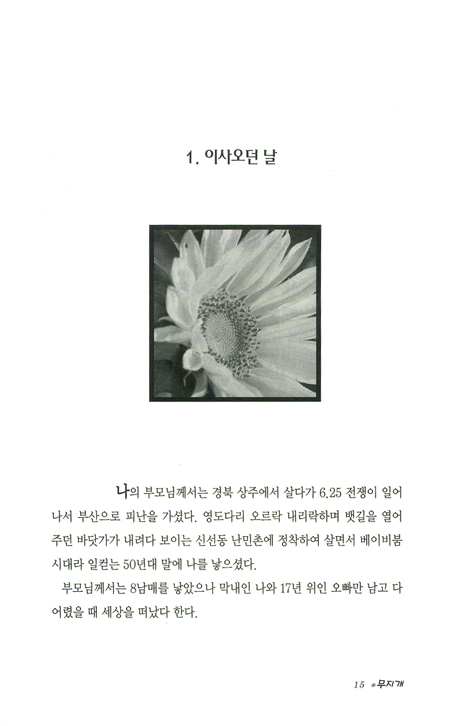 눈물의 무지개
