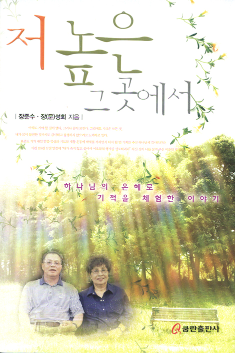 저 높은 그곳에서 (하나님의 은혜로 기적을 체험한 이야기)