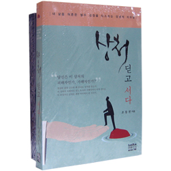 상처 딛고 서다 (내 삶을 뒤흔든 열두 감정을 다스리는 성경적 치유법)