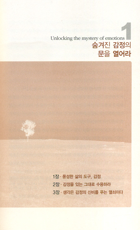 숨겨진 감정의 회복