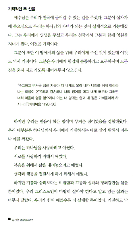 당신은 괜찮습니까?