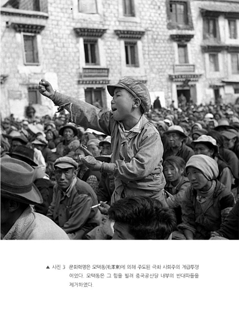 신철 (문화혁명을 이긴 한국인)